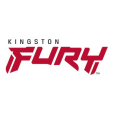 Kingston FURY Beast RGB