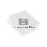 Intel Xeon E-2486 