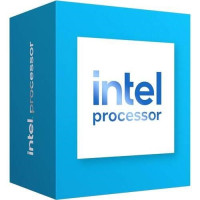 INTEL Processor 300 / Raptor Lake R / LGA1700 / max. 3,9GHz / 2P+0E/4T / 46W / VGA / BOX