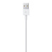 Lightning to USB Cable (2 m)