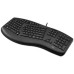 Adesso AKB-160UB/ drátová klávesnice/ multimedia/ ergonomická /scroll kolečko/ USB/ černá/ US layout