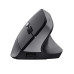 TRUST BAYO II ERGONOMIC WIRELESS MOUSE BLK