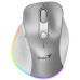 GENIUS Ergo 9000S Pro Silver/ duální Bluetooth + 2,4GHz/ 2400 dpi/ bezdrátová/ 6tlačítková/ dobíjecí/ RGB/ stříbrná