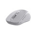 C-TECH myš WLM-12 Dual mode, bezdrátová, BT5.0 + 2,4GHz, 1600DPI, 6 tlačítek, USB nano receiver, šedá