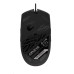 GIGABYTE myš Gaming Mouse AORUS M2, USB, Optical, up to 6200 DPI