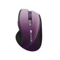CANYON myš 2,4Ghz bezdrátová CMSW01, 1000/1200/1600 dpi, 6 tlačítek, blue LED senzor, fialová