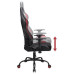 Assassins Creed Gaming Seat Pro