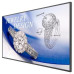 BENQ panel 43