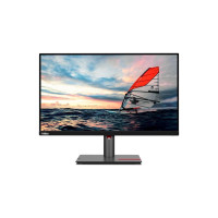 LENOVO LCD P25i-30 - 24.5