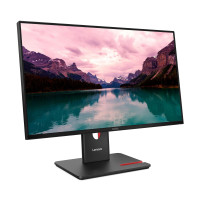 Lenovo LCD T24i-40 23,8