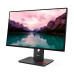 Lenovo LCD T24i-40 23,8