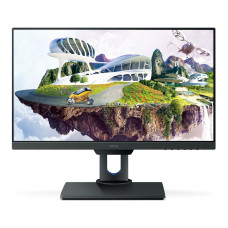 BenQ/PD2500Q/25