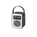 CARNEO D600 Rádio DAB+, FM, BT, black/white