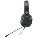 Lenovo AUDIO_BO OPT-Ideapad H100 Headset