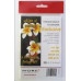 Armor fotopapír Harmony 240g, glossy 10x15, 20 ks