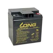 LONG baterie 12V 30Ah M6 DeepCycle (WP30-12TNE)