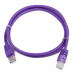 Gembird patch kabel CAT5e, UTP, 0,5 m, fialový