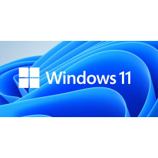 MS Win 11 Pro 64-bit German 1pk OEM DVD