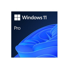 Windows 11 Pro Licence 1 licence ESD