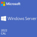 DELL MS Windows Server CAL 2019/2022/ 1 User CAL/ OEM/ Standard/ Datacenter