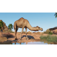 ESD Planet Zoo Arid Animal Pack