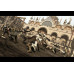 ESD Assassins Creed 2