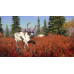 ESD theHunter Call of the Wild Yukon Valley