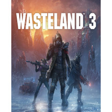 ESD Wasteland 3 Elektronická licence určená