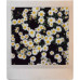Fujifilm Film Instax Square Sunset 10 List